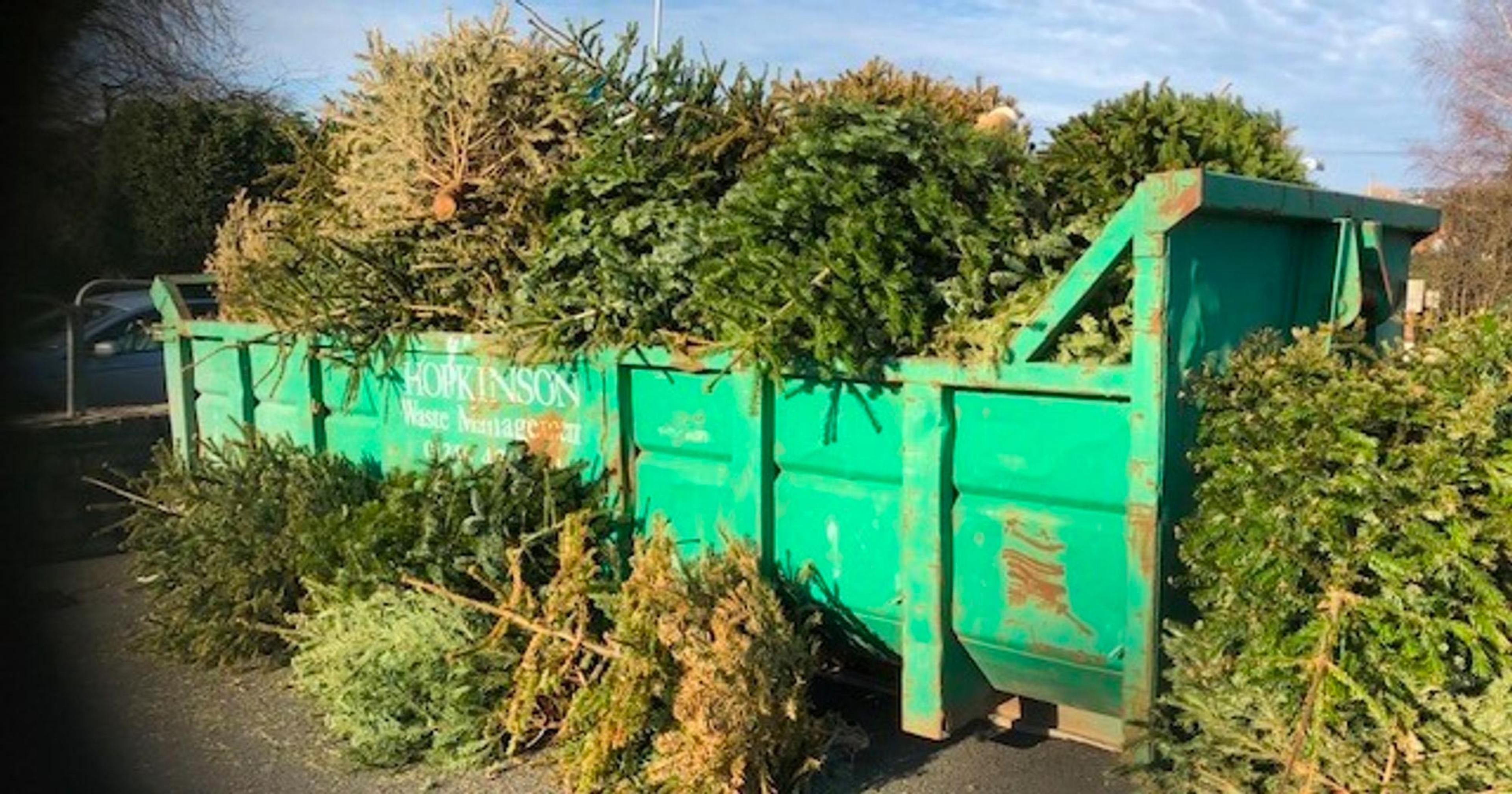 Christmas Tree Recycling Project